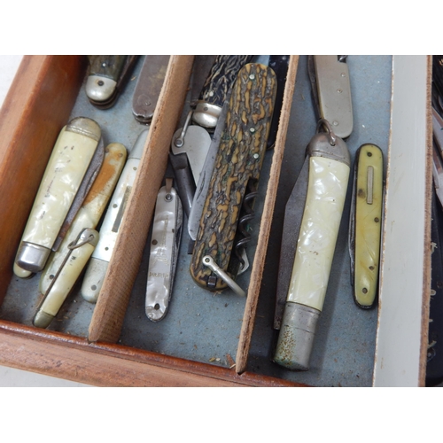 36 - Large collection of fruit knives, etc, in collectors box