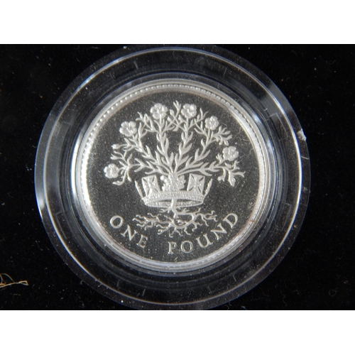 65 - Royal Mint Silver Proof One Pound Collection (4) in Case of Issue with COA's together with two Silve... 