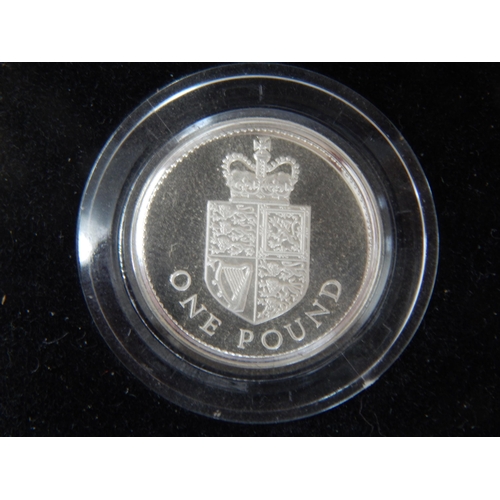 66 - Royal Mint Silver Proof Piedfort One Pound Coins 1988, 1989, 1993, 1995, 1996 in Cases of Issue with... 