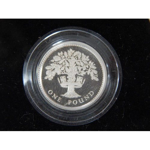 66 - Royal Mint Silver Proof Piedfort One Pound Coins 1988, 1989, 1993, 1995, 1996 in Cases of Issue with... 