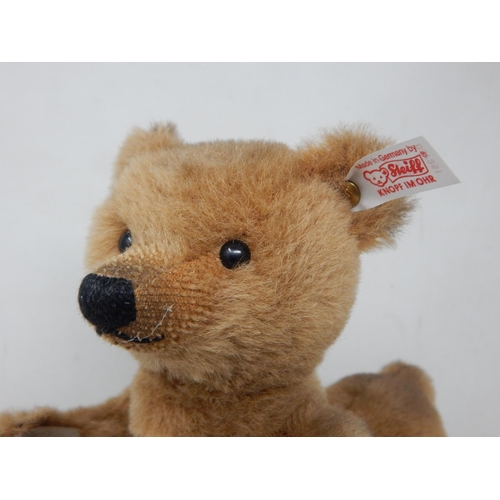 319 - Steiff Centaur Bear with Button & Label in Ear