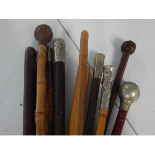 748 - 11 x various swagger sticks and riding crops including The Kent Regiment “the Buffs” the Welch regim... 