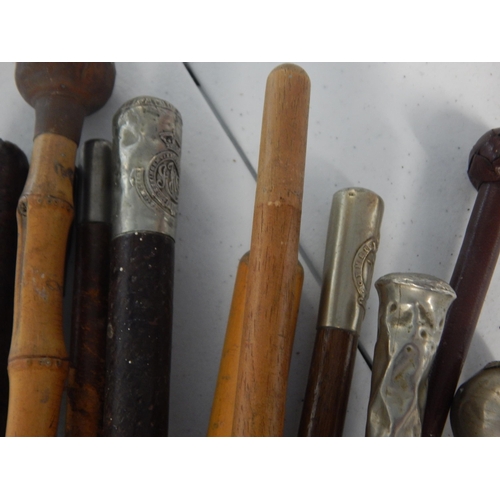 748 - 11 x various swagger sticks and riding crops including The Kent Regiment “the Buffs” the Welch regim... 