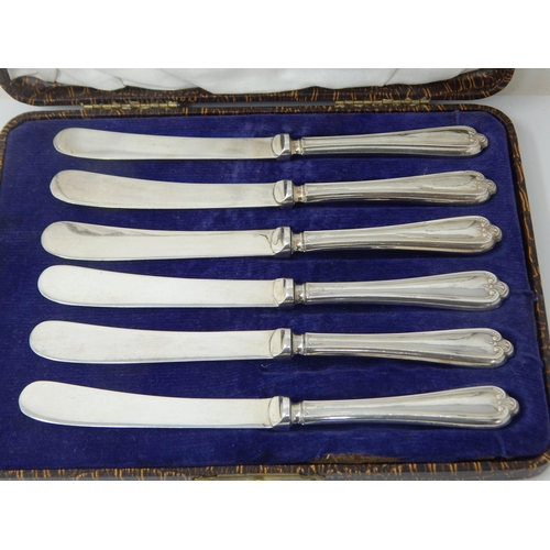 157 - Cased set of 6 early C20 silver-handled butter knives – Sheffield 1928, John Biggin