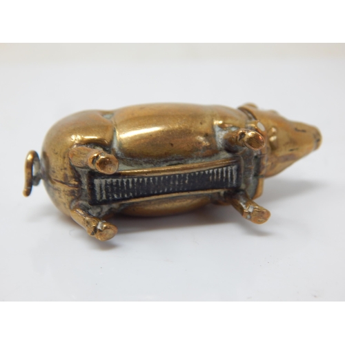 145 - Hallmarked Silver Pig Vesta Case together with a similar brass example