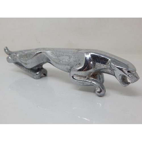 275 - Jaguar Car Bonnet Mascot No: 7100911WBB