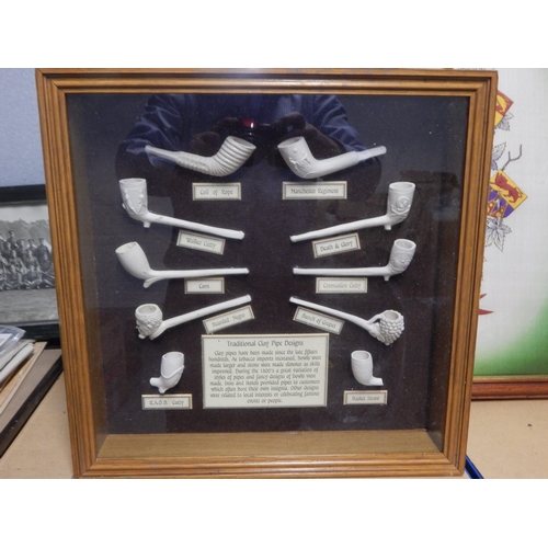 365 - Framed & Glazed Display Case of Traditional Clay Pipes