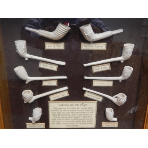 365 - Framed & Glazed Display Case of Traditional Clay Pipes