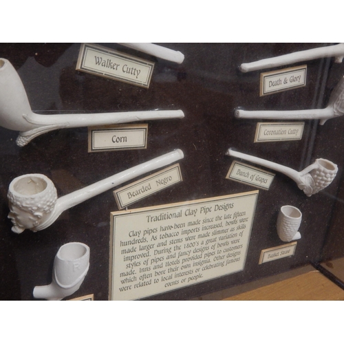 365 - Framed & Glazed Display Case of Traditional Clay Pipes