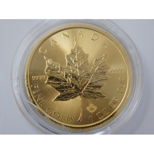 113 - 1oz .999 Fine Gold Canadian Maple 2017