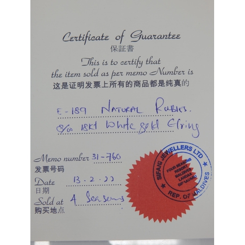 77 - A Pair of Heavy 18ct White Gold Earrings Set with Natural Rubies: Weight 20.58g Complete with Origin... 