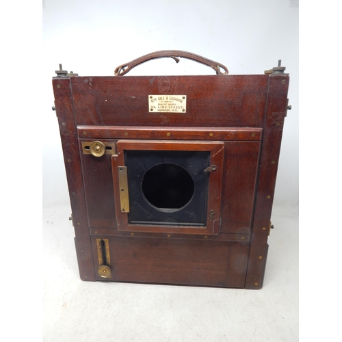 Lot 404       