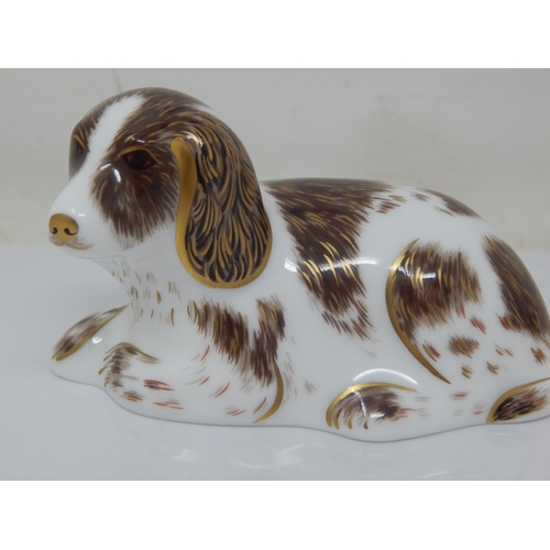 363 - Royal Crown Derby Scruff, Gold Stopper 2007.