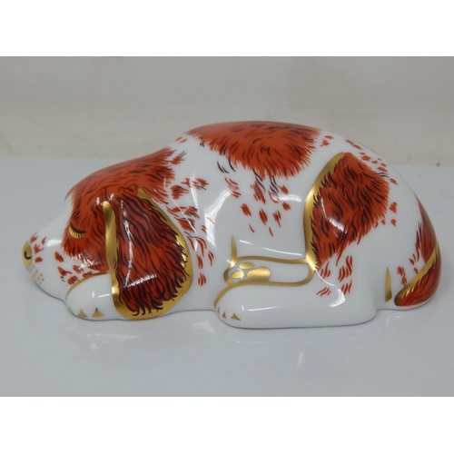 364 - Royal Crown Derby Puppy. Gold Stopper 2000.