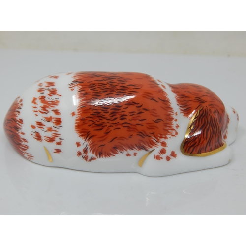 364 - Royal Crown Derby Puppy. Gold Stopper 2000.