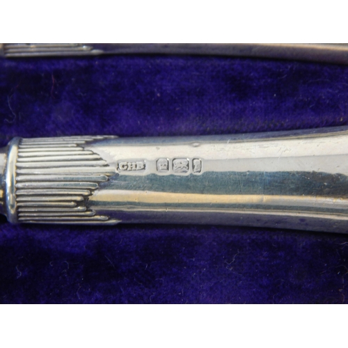 167 - A Set of Edwardian Silver Handled Tea Knives: Hallmarked Sheffield 1901 by George Henry Biggin: Leng... 