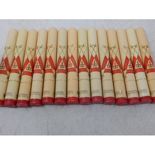Lot 200       