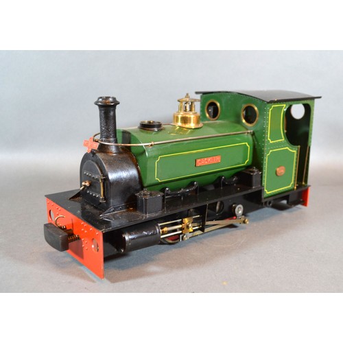 304 - A Gauge 1 Live Steam Engine Cackler 27 cms long