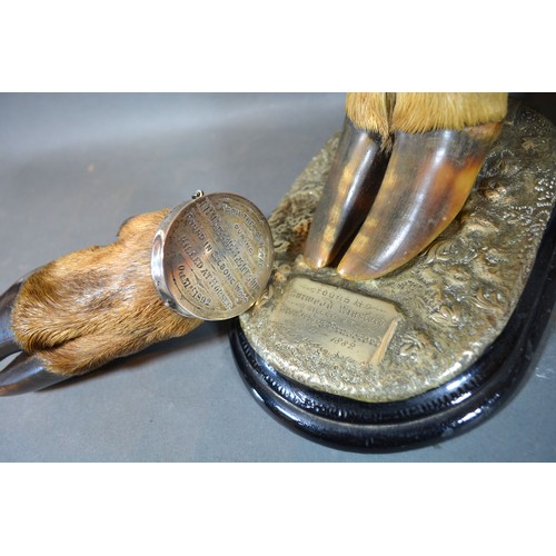 341 - A London Silver Mounted Commemorative Stags Hoof dated 1892 together with three other similar mounte... 