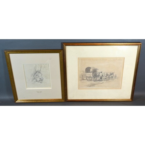 117 - Robert Hills, Study of a Donkey's Head, pencil drawing, 14 x 14 cms, together with another by the sa... 