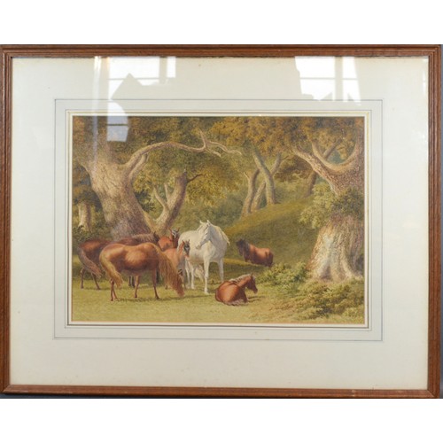 118 - Robert Hills, Horses within a Wooded Landscape, watercolour, signed, 32 x 42.5 cms