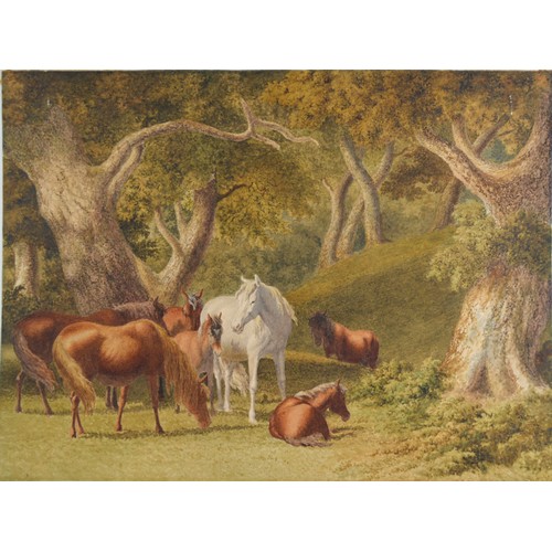 118 - Robert Hills, Horses within a Wooded Landscape, watercolour, signed, 32 x 42.5 cms