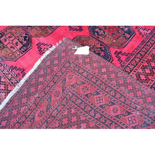 427 - An Afghan Woollen Carpet with four rows of guls upon a red ground within multiple borders, 540 x 347... 