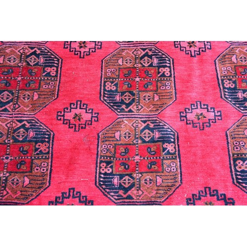 427 - An Afghan Woollen Carpet with four rows of guls upon a red ground within multiple borders, 540 x 347... 