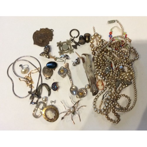 154 - A Small Collection of Jewellery to include an oval cameo brooch, various bead necklaces and other it... 