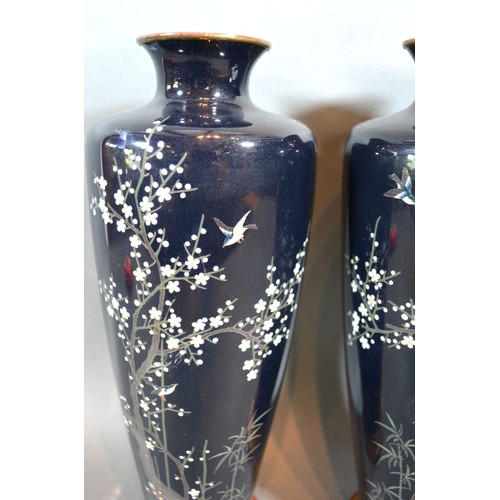 252 - A Pair of Japanese Cloisonné Vases each decorated with birds amongst foliage upon a dark blue ground... 