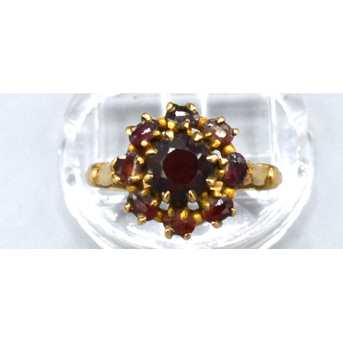 167 - A 9ct Yellow Gold Cluster Ring set with garnets within a pierced setting, 2.7 gms Size M