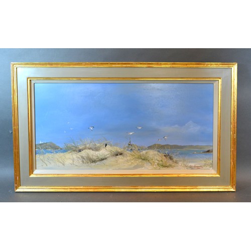 76 - John Hamilton 'Sand Dunes and Seagulls, A Coastal View' oil on board, signed, 29 x 59 cms