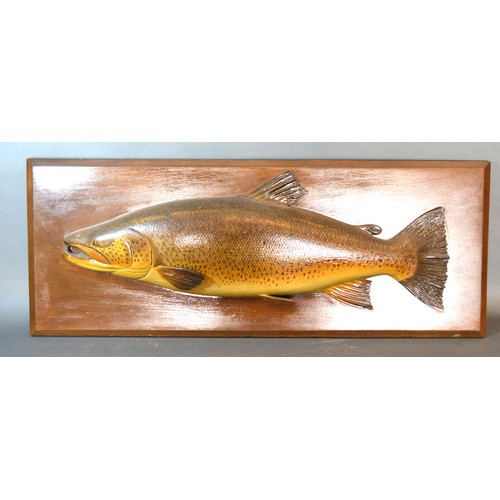 250 - A carved half model of a trout bearing label C. Farlow and Co. Limited, 85cms wide, 35cms high