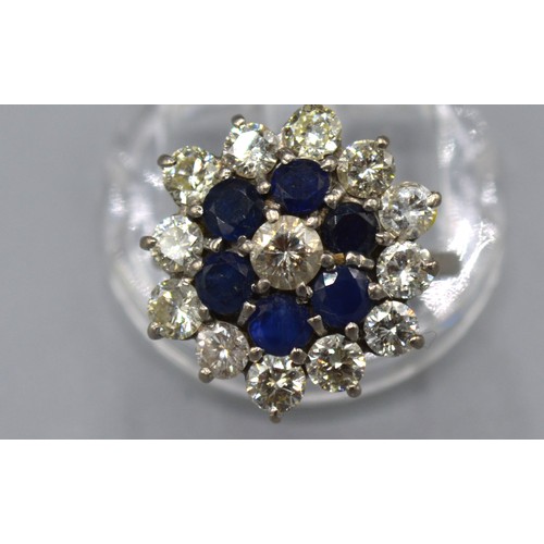 117 - An 18ct white gold diamond and Sapphire cluster ring, claw set, ring size N, 5.2g