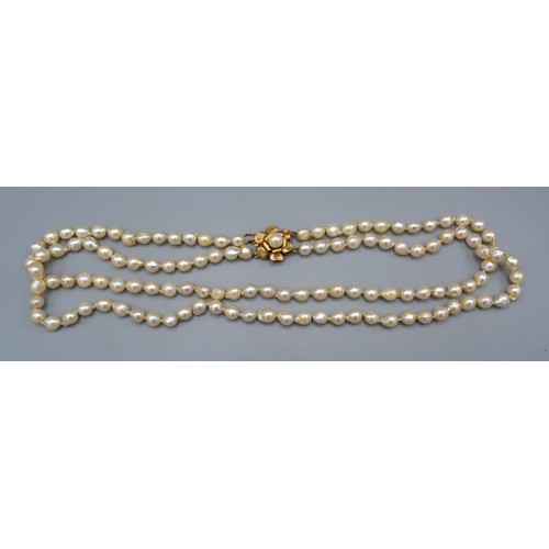 121 - A cultured pearl double row necklace with 14ct gold clasp, 60cms long