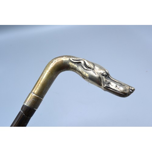 138 - An Edwardian silver handled walking cane, the handle in the form of a dogs head, London 1901