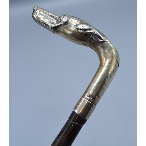 138 - An Edwardian silver handled walking cane, the handle in the form of a dogs head, London 1901