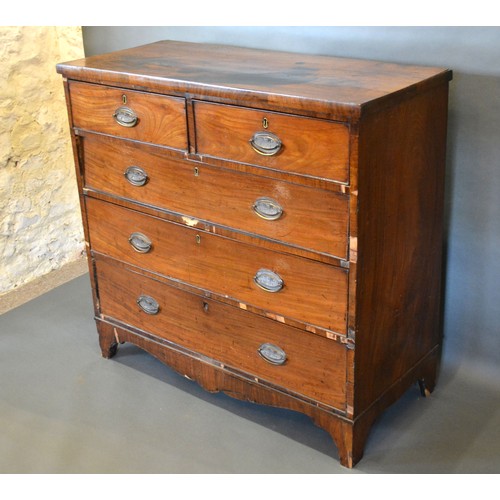 430 - A 19th century mahogany straight front chest of two short and three long drawers with oval brass han... 