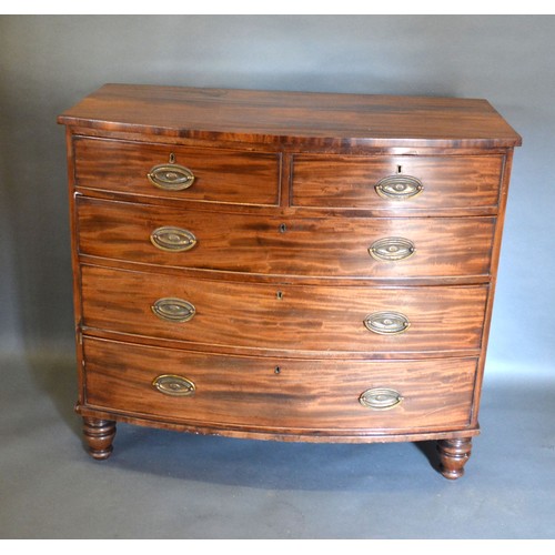 431 - A 19th century mahogany bow fronted chest of two short and three long graduated drawers with oval br... 