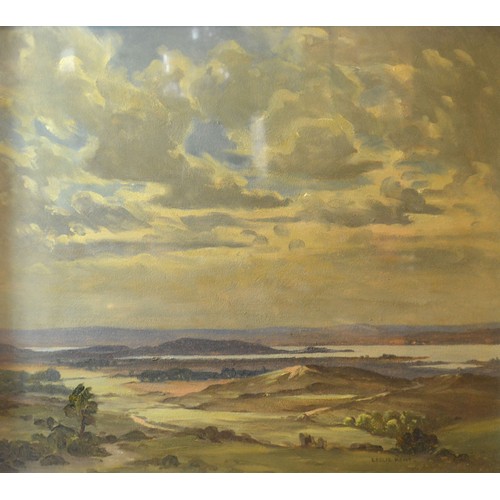 Lot 64        