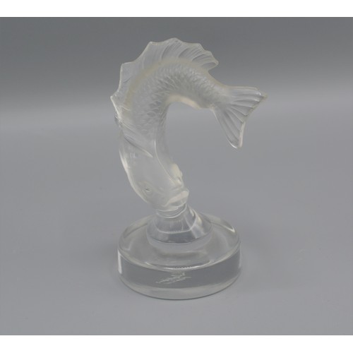 16 - A Lalique glass paperweight The Koi Fish, signed Lalique France, 19.5cms tall