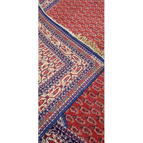 290 - A North West Persian Woollen Carpet with an all over design upon a red, blue and cream ground within... 