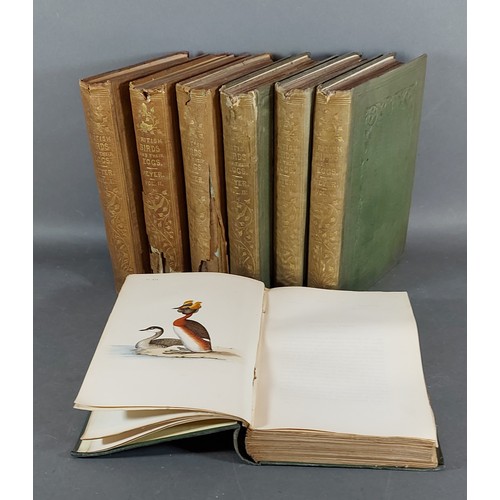 83 - British Birds and Their Eggs by H. L. Meyer published by George Willis, Plazza, Covent Garden and da... 