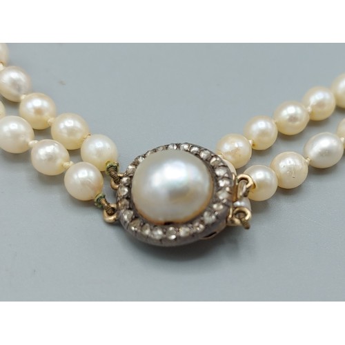 141 - A graduated double row pearl necklace, the clasp set with a large pearl surrounded by diamonds, 37cm... 