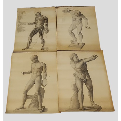 86 - Raymond Osbourne, a group of four pencil drawings of classical males to include one anatomy drawing,... 