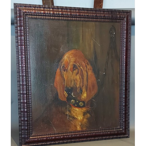 61 - An Early 20th Century English school, head study of a dog, oil on canvas, unsigned, 64cms x 54cms