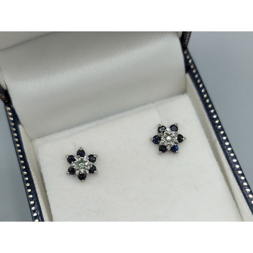 151 - A pair of 9ct gold Diamond and Sapphire set cluster ear studs