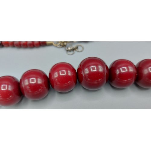 169 - A Cherry Amber graduated bead necklace, 105gms