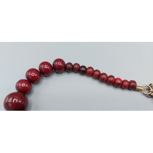 169 - A Cherry Amber graduated bead necklace, 105gms