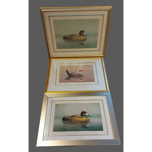 52 - Malachi Smith, Duck, mixed media, signed,  41cms by 58cms, together with two other similar pictures ... 